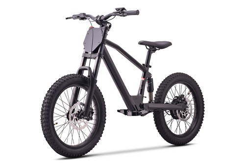 36v 7ah 750w - 36v, 20"