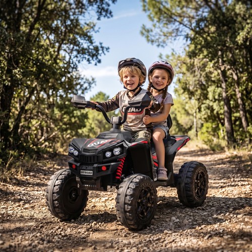 24v seater electric quad - 24v,