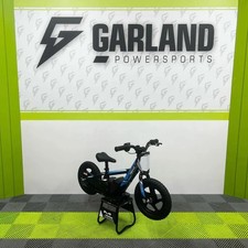 REVVI 12" BLUE 24V100W MOTOR